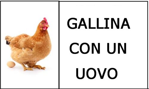 Questa immagine ha l'attributo alt vuoto; il nome del file è GALLINA.jpg